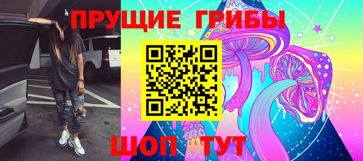 Галлюциногенные грибы Psilocybe Новосибирск