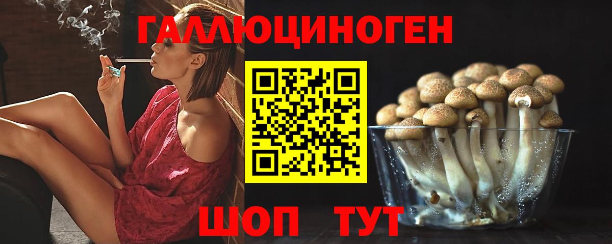 Псилоцибиновые грибы MAGIC MUSHROOMS  Вход с VPN  Псилоцибиновые грибы прущие грибы  Новосибирск 